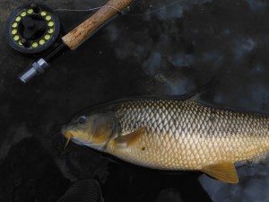 Guadalhorce 29 September 009