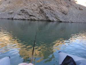 The bass often lie close to the steep margins