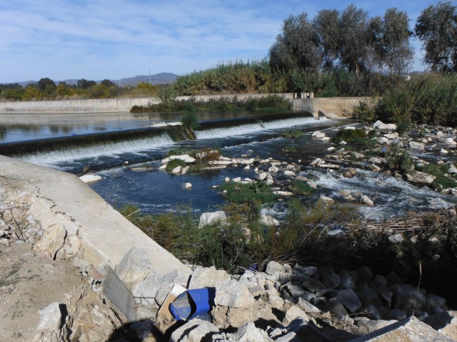 Better times. The river here back in November. Around Easter time we saw barbel attempting to leap the weir just as salmon do.