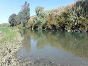 A new stretch of river for me