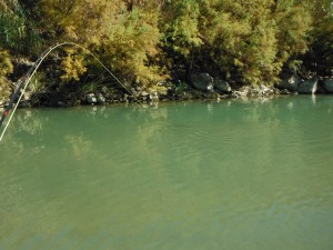 In the heat of battle!