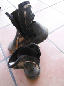 Look what the puppies did to my wading boots