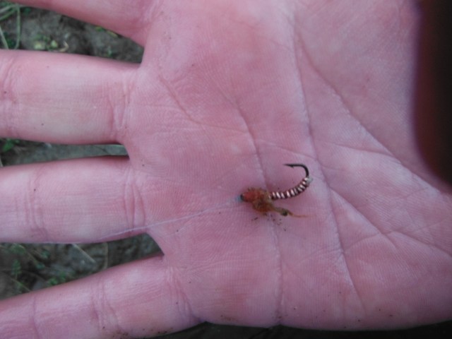 This is the thing they seemed to want