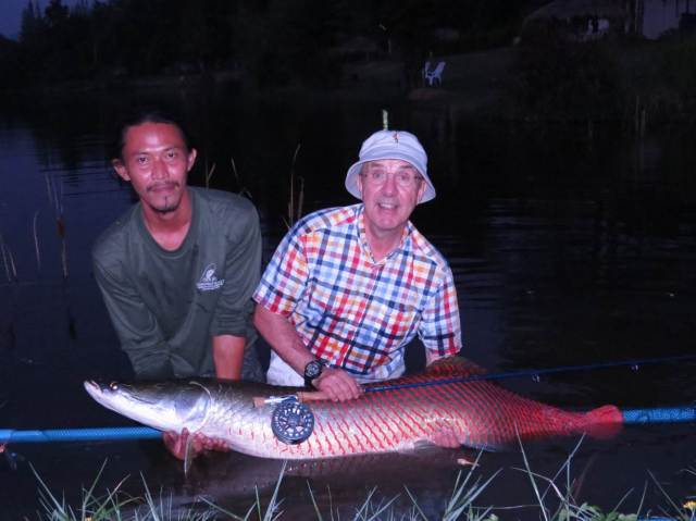 Harry with his beautiful Arapaima, estimated at 25 kilos. These are among the largest freshwater fish in the world although, due to overfishing in their native range in South America they rarely attain their maximum size. They have been widely introduced in tropical countries and this one was caught in Thailand.