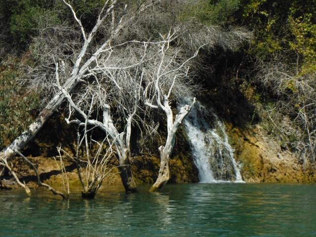 A tumbling waterfall, submerged trees, what more could you ask for?