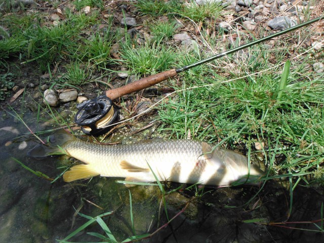 I really have to work on my photography!