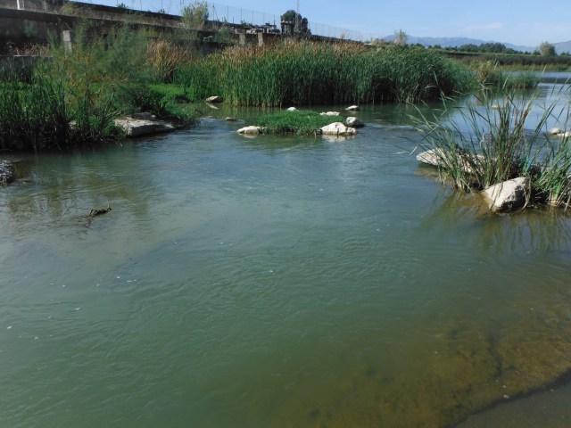 I hooked a good fish just here. The water is relatively deep. He was on the line just long enough to show what a nice fish he was!
