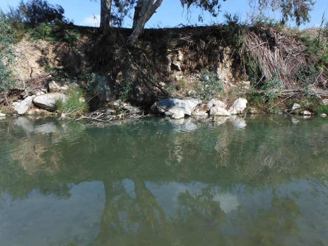 The carp and three barbel came from this pool. If the fish had gone into the snags on the far side I would have been in real trouble. 