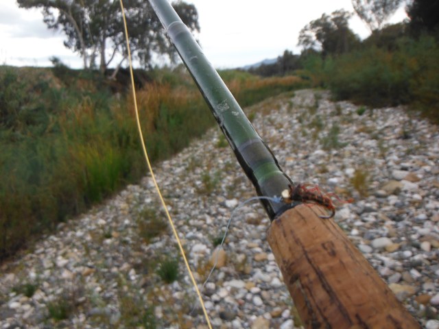 All the fish took this little nymph. It is looking a little the worse for wear here!