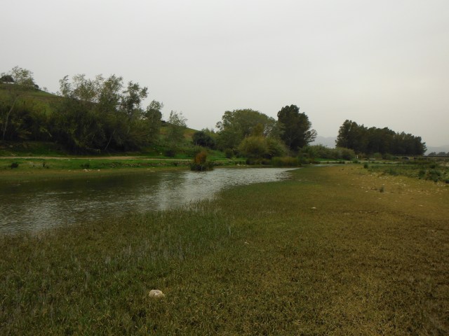 It was good fun trying to stalk along this bank but all to no avail.