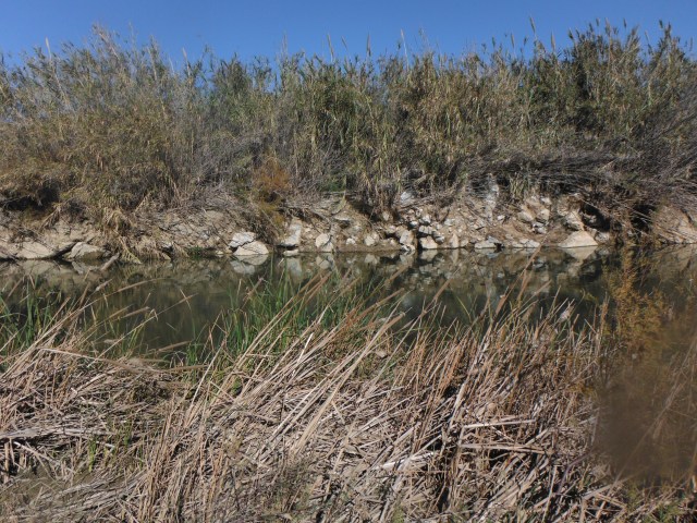 This is a long pool where you might normally expect to spot fish. Not today though! The fish were a little too deep.