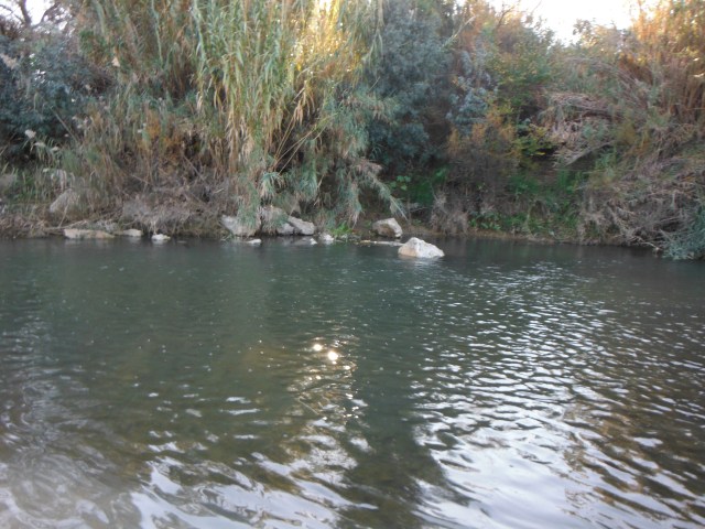 The fish could not be seen but were on the far side of this stretch.