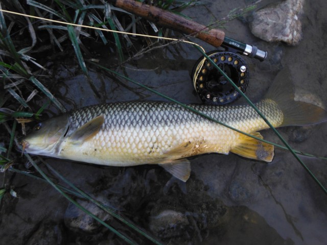 What a nice start to the New Year! 