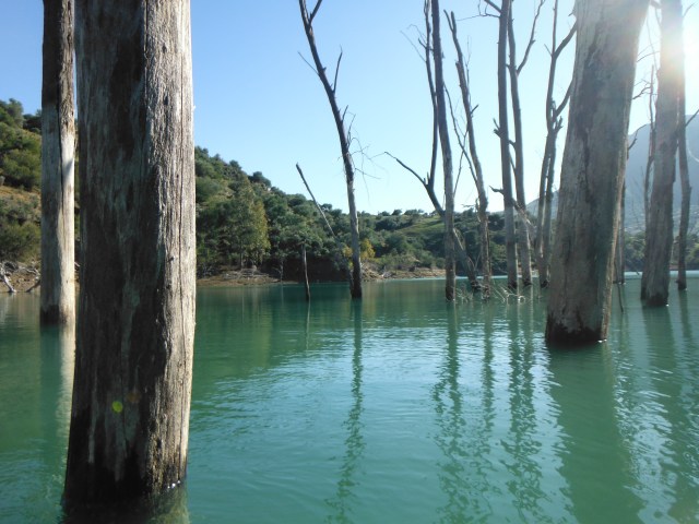 The bass would love it here