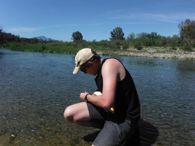 Which was carefully unhooked.......