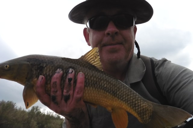 This was my first attempt but I realise I chopped the nose off my fish!