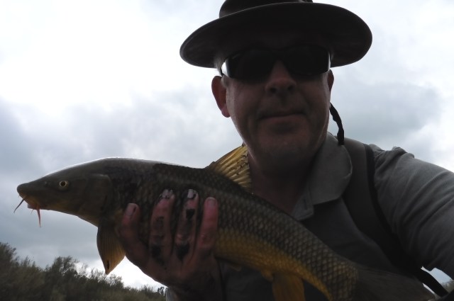 I think I did a little better this time!