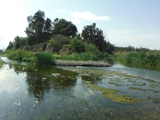 This is where the Río Grande (on the left) meets the Río Guadalhorce.
