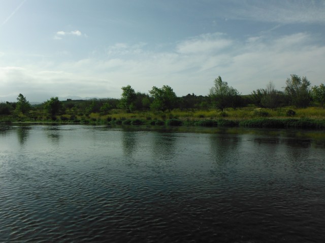 I carried out a crude survey of this beautiful stretch of the Río Grande. Conditions seemed ideal but it was virtually devoid of fish!