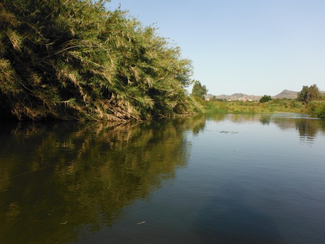 When it is very hot the most comfortable place to be is in the river. You can get quite close to the fish but they can be very uncooperative!