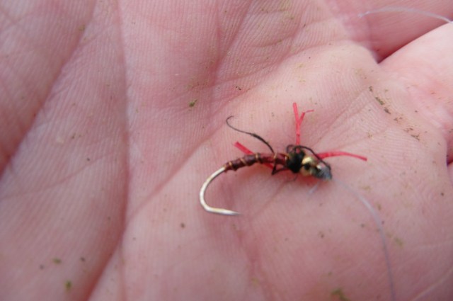 This is the "nymph" the carp took. I don´t have anything else quite like it!