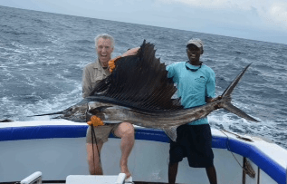 The sailfish is one of the fasted fish in the sea.