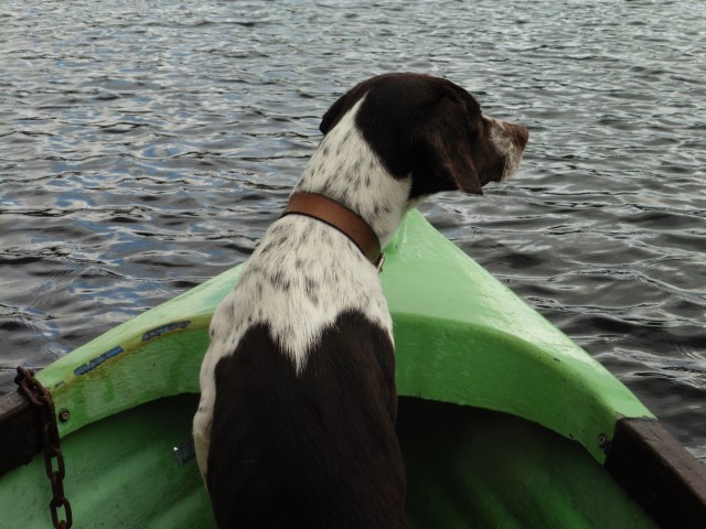 We left Meg in charge of navigation.