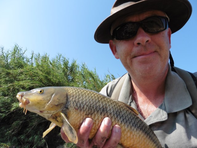 There were still some fish around!