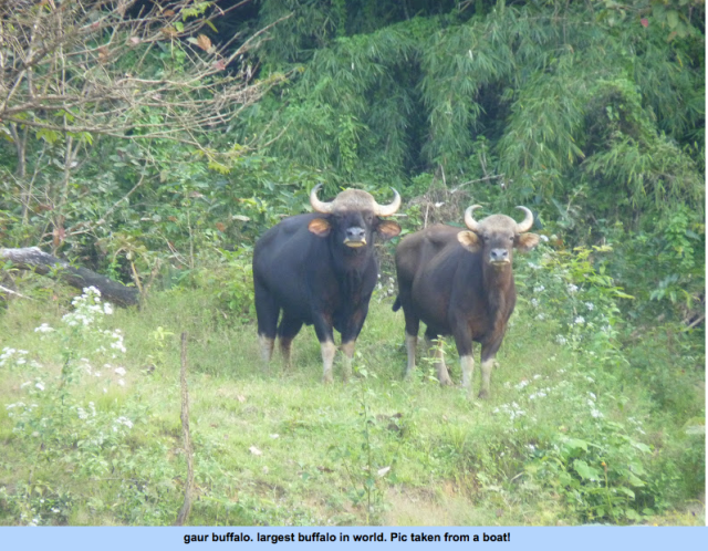 Screen Shot 2015-08-31 at 19.59.09