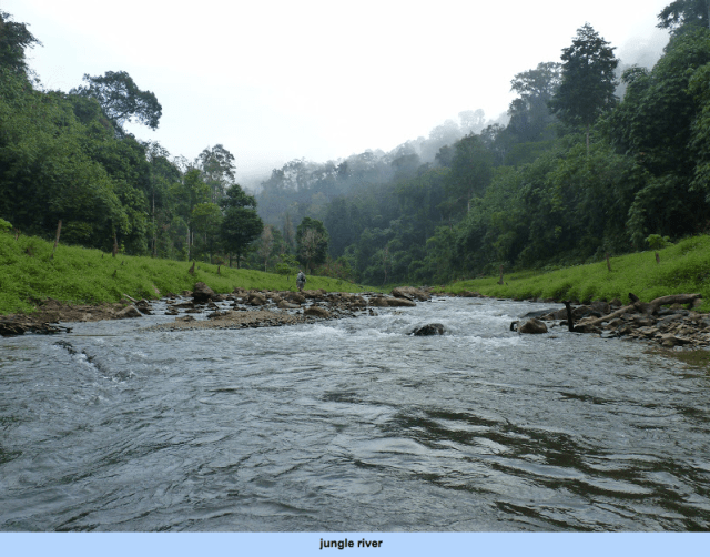 Screen Shot 2015-08-31 at 19.59.23