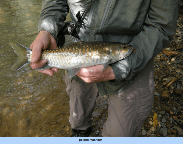 Screen Shot 2015-08-31 at 20.00.30