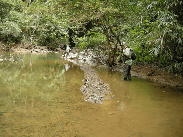 Screen Shot 2015-08-31 at 20.00.41