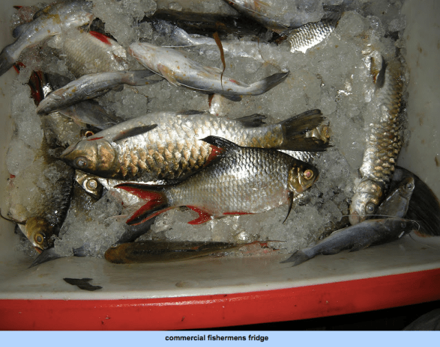 Screen Shot 2015-08-31 at 20.02.42