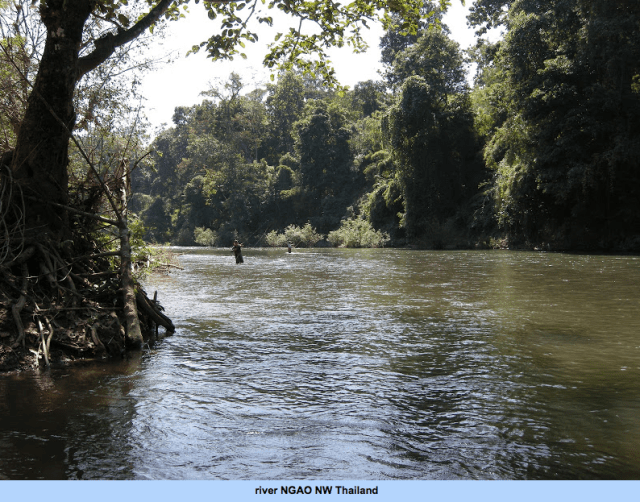 Screen Shot 2015-08-31 at 20.05.08