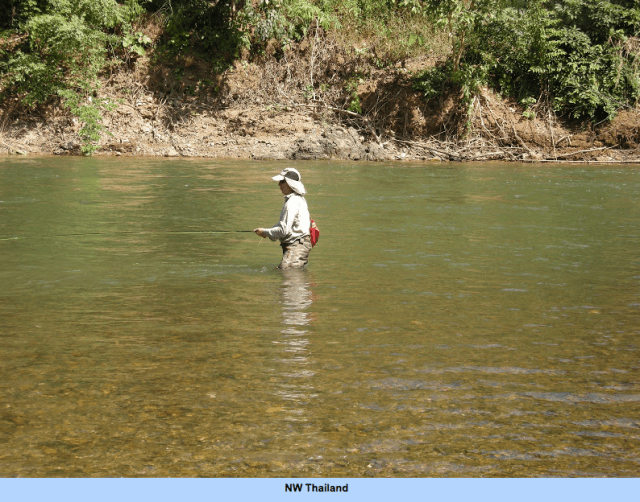 Screen Shot 2015-08-31 at 20.05.22