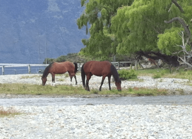 One transport option.....