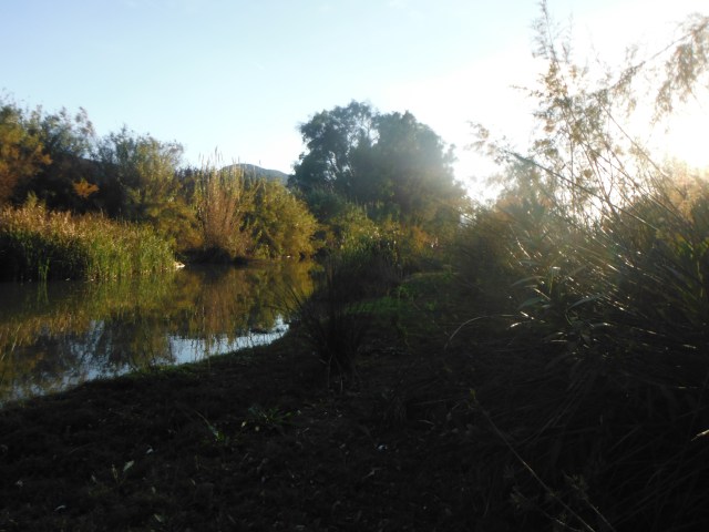 That´s more like it! There are some lovely little pools a kilometre or so upstream of Estación de Cártama. The last time I was here though I was with Steven Lawler and the two of us were nearly eaten alive by flies!