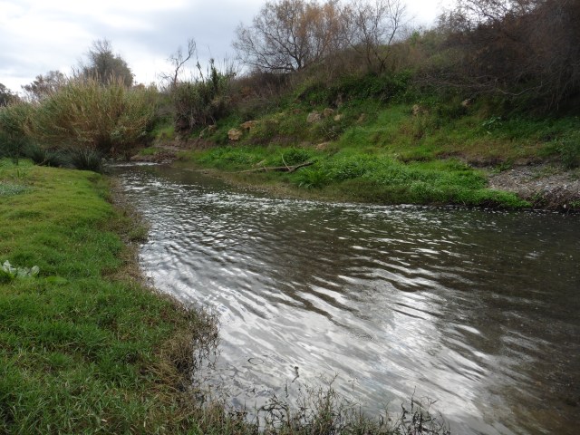 This is the "branch" of the river where the first fish was taken. Further downstream there are a lot of snags.