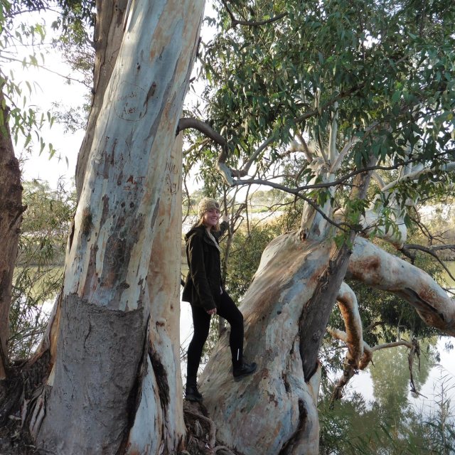 This has nothing to bird watching. It´s just a nice picture of Pippa.