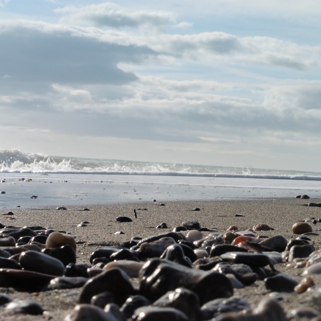 The Guadalhorce River divides before it reaches the sea and so there are really two deltas separated by several hundred metres and, between them, a pretty stretch of beach.