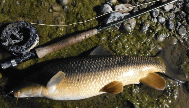 Screen Shot 2016-03-29 at 18.27.23