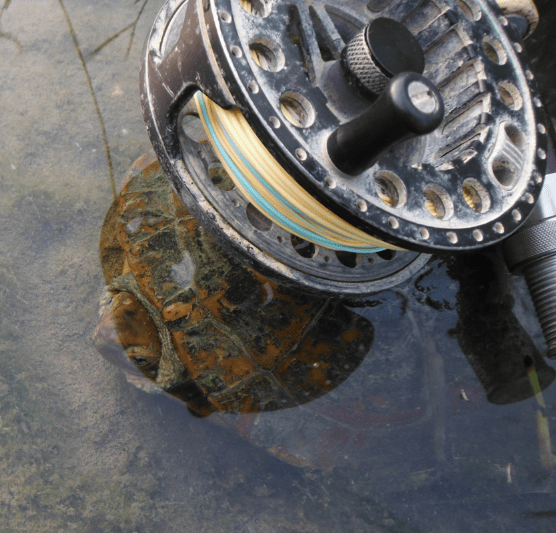 Screen Shot 2016-06-30 at 09.09.05