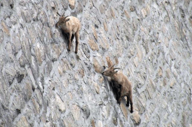 Screen Shot 2016-07-29 at 11.14.33