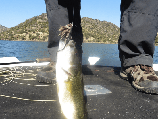 screen-shot-2016-10-12-at-13-55-04