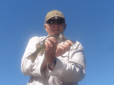 screen-shot-2016-10-12-at-13-55-30