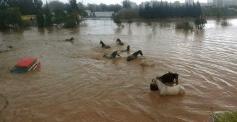 screen-shot-2016-12-05-at-16-08-08