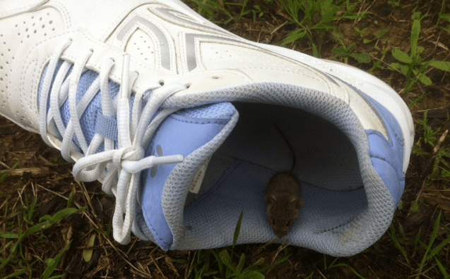 screen-shot-2016-12-18-at-18-15-46