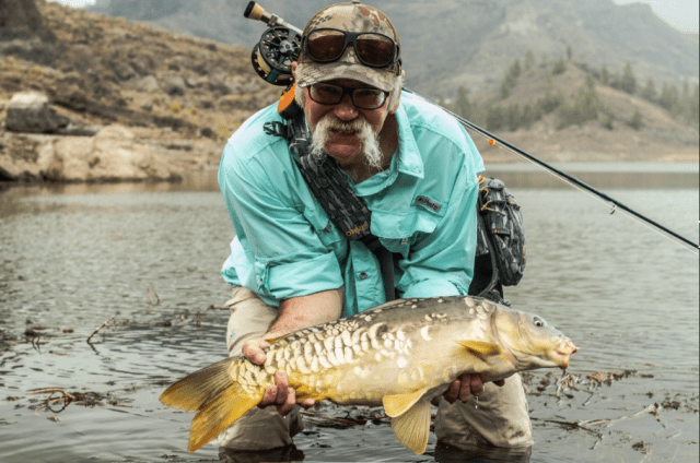 screen-shot-2016-12-23-at-18-07-56