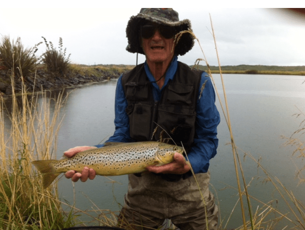 screen-shot-2017-02-07-at-14-11-17