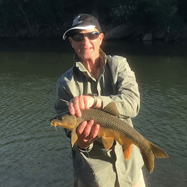 Screen Shot 2017-05-15 at 09.46.39